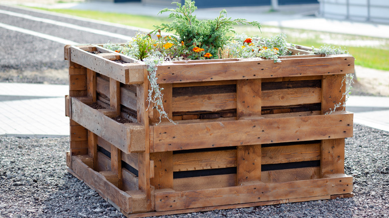 wood pallets creating garden bed