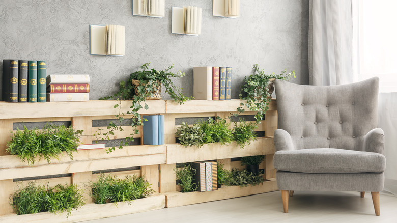 plants inside pallets along wall