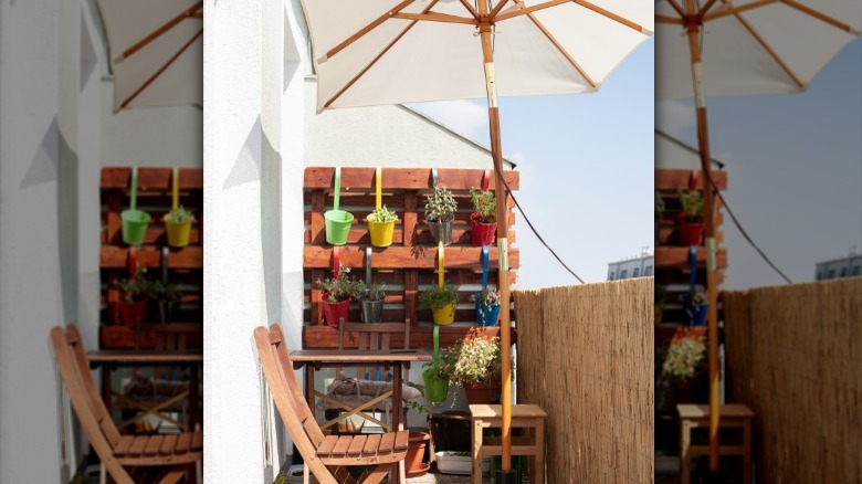 wood pallet with hanging plants