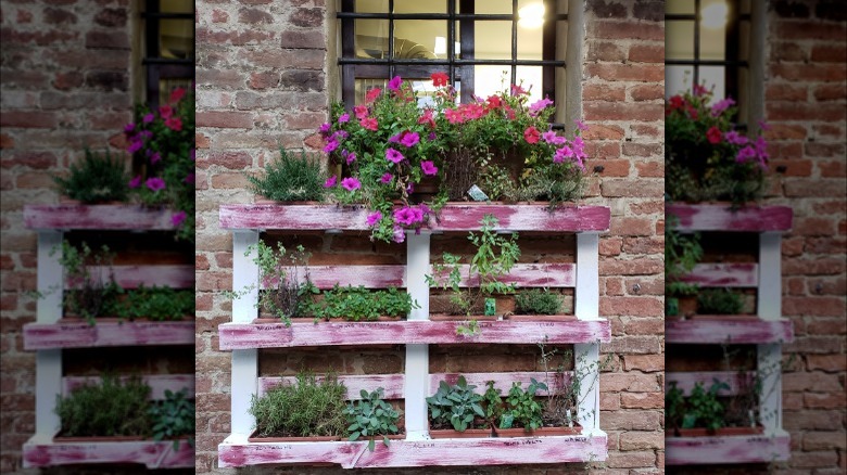 pallet with plants underneath window