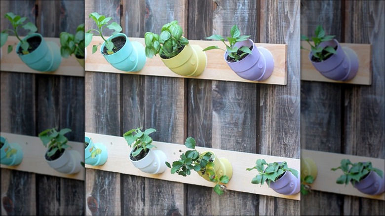 pastel elbow joint wall planter
