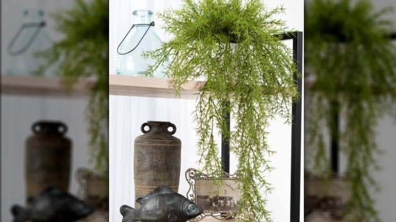 artificial fern plant on shelf