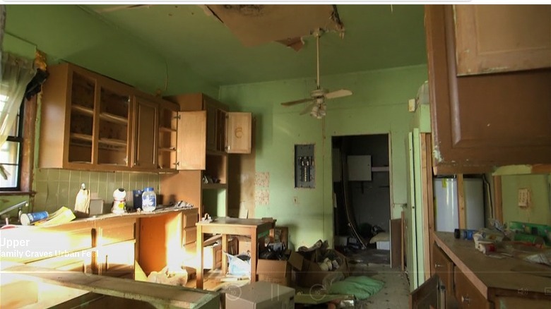 dilapidated green kitchen