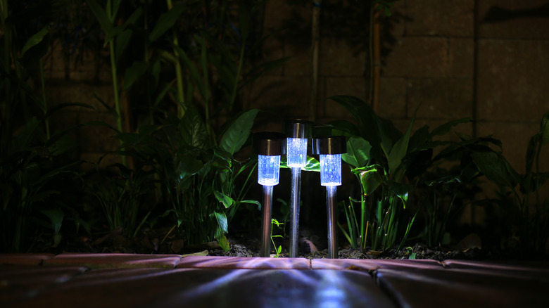 Solar lights in yard