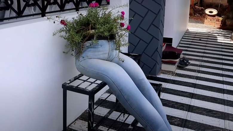 blue jean planter