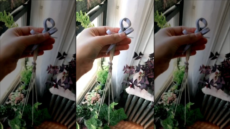 shoelace on diy hanging planter