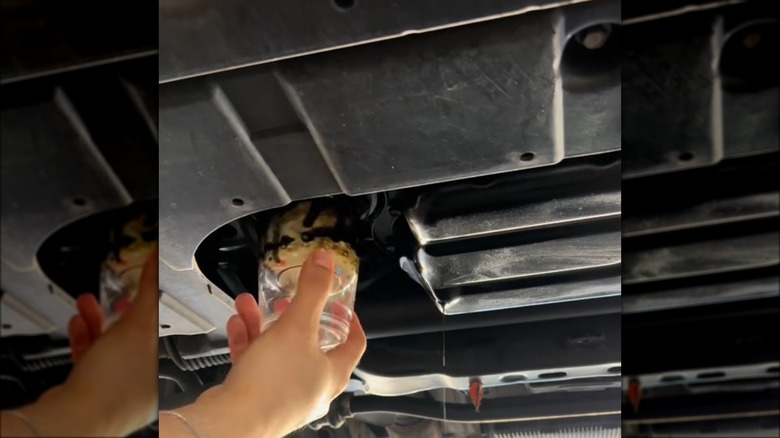 person removing oil filter with cup