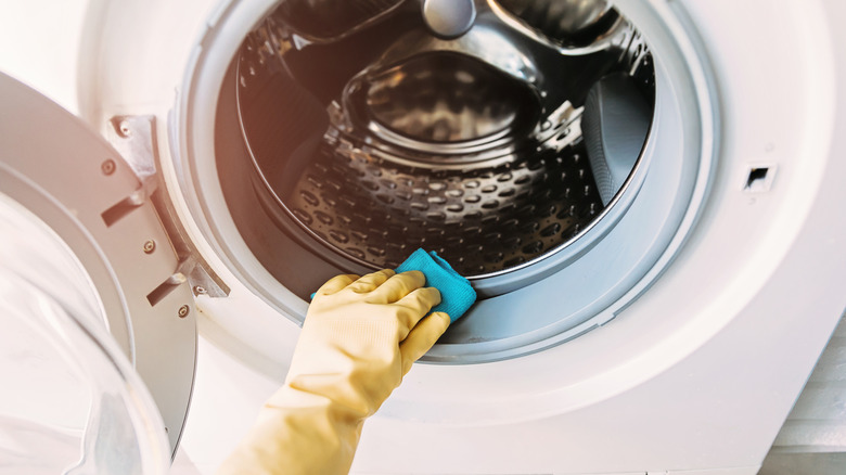 Hand cleaning washing machine's rubber seal with sponge