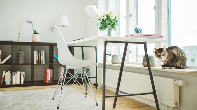 Contemporary desk facing window ledge