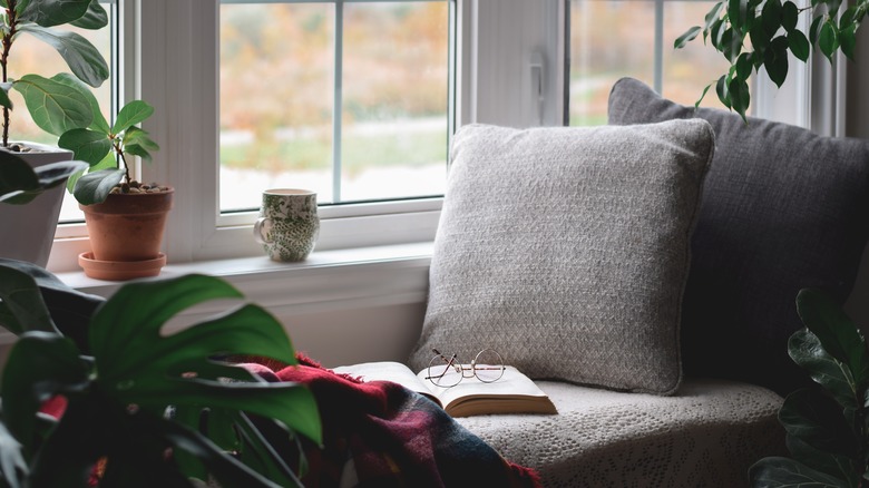 Cozy window nook with plants