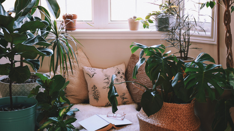 Jungle window nook with plants