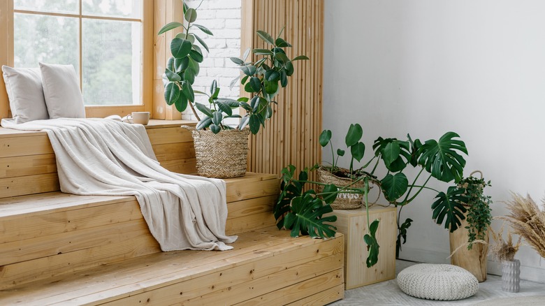 Three-level window nook steps