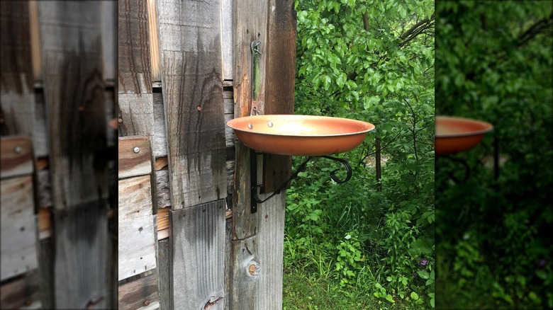 hanging bird feeder