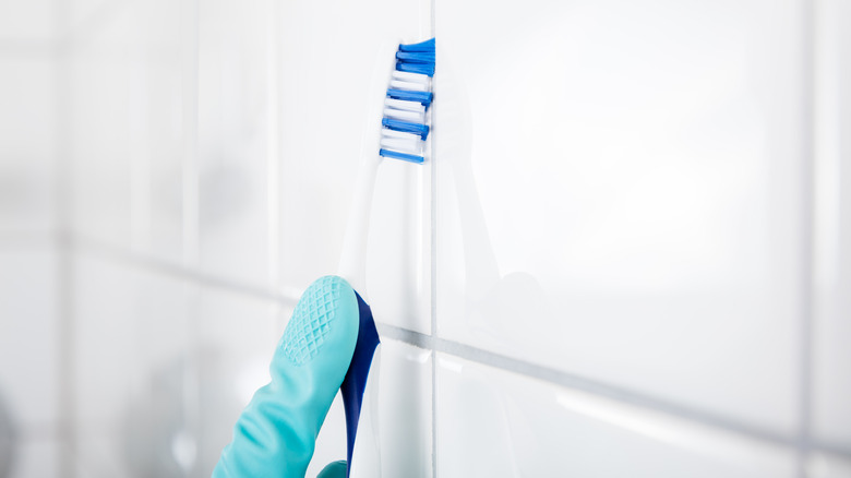 person cleaning grout with toothbrush