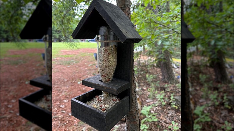 Glass bottle bird feeder full of birdseed attached to a tree outside.