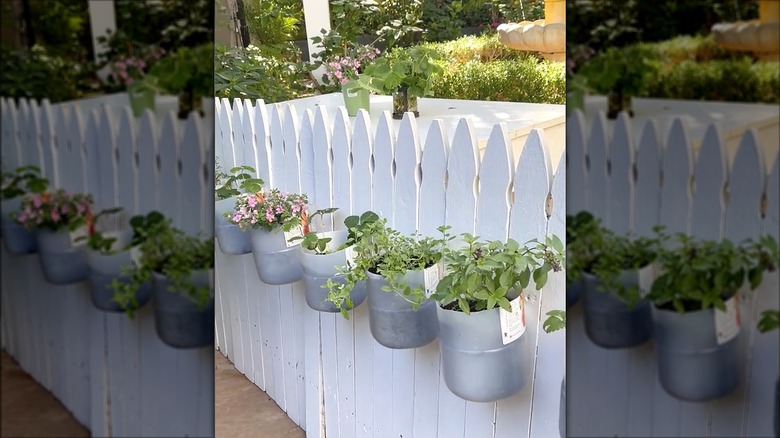 Row of plastic vinegar bottles cut into planters along a white fence.