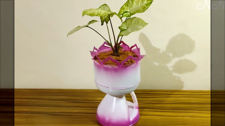 A houseplant inside of a plastic vinegar jug that has been cut into a vase and painted.