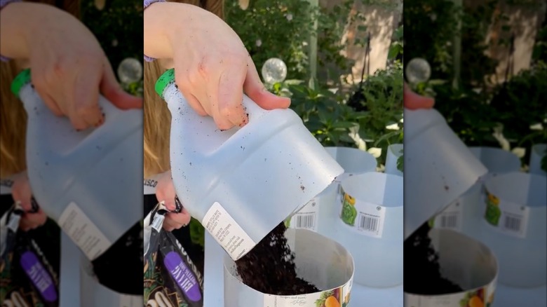 Person using a plastic vinegar jug to scoop soil into pot