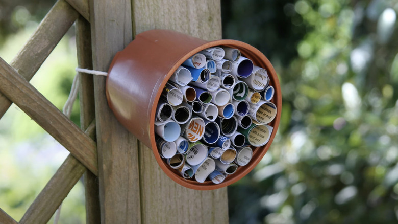 A bug hotel made from a plant pot and rolled up paper attached to a fence.