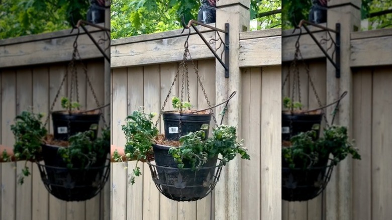 One plant pot placed inside another plant pot to create a double hanging planter