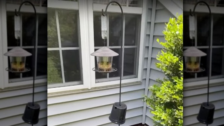 A plant pot stops squirrels climbing the pole of a bird feeder to eat the seed