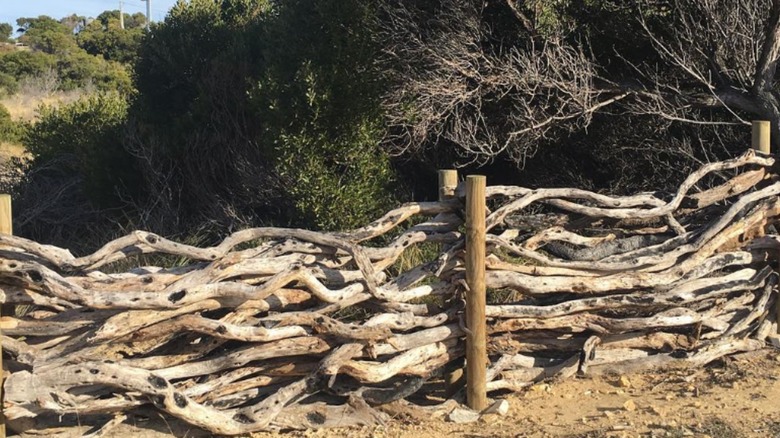 stacked driftwood between fence posts