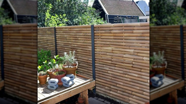 Horizontal bamboo fencing behind planters