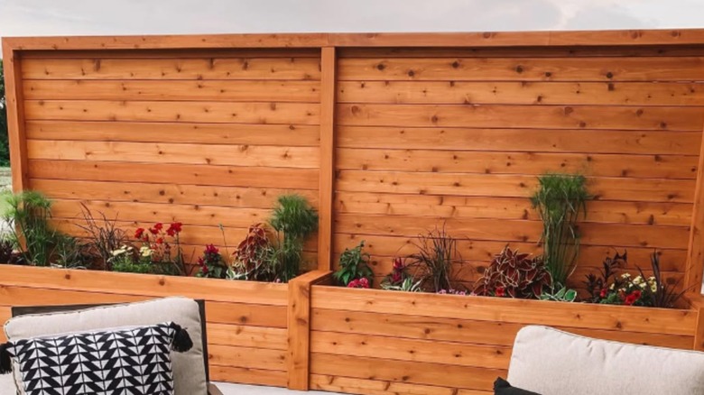 Planter boxes with attached fence