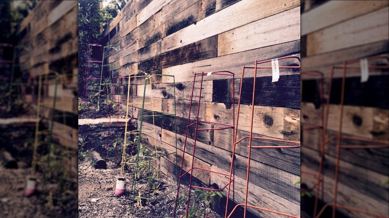 Multi-hued fence made from reused wood