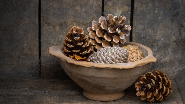 pinecones in a bowl