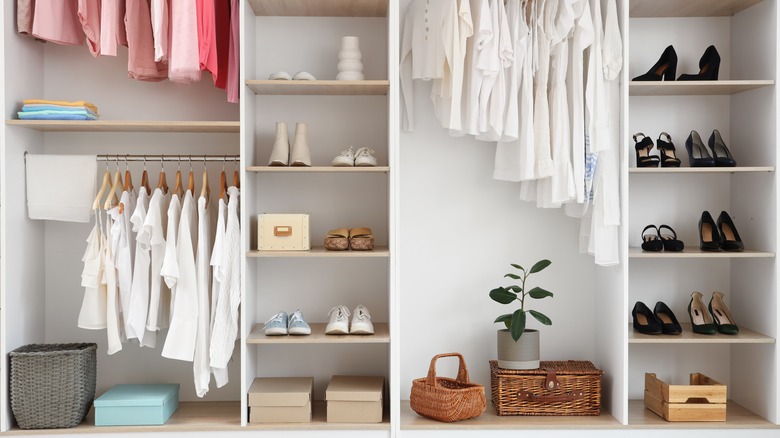 Footwear on various shelves of a closet