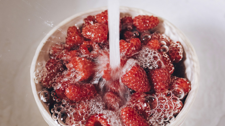 Washing raspberries