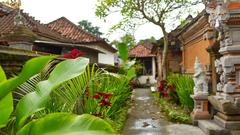 Lush greenery in Balinese courtyard