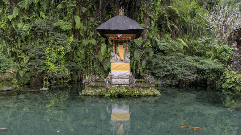 Koi pond with temple statue