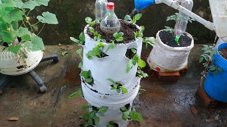 vegetable tower from two buckets