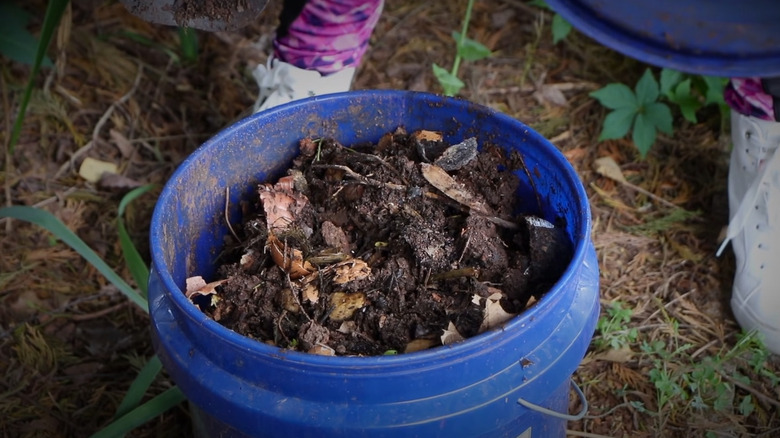 bucket with compost