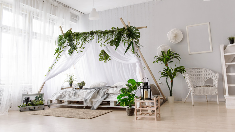 canopy bed 