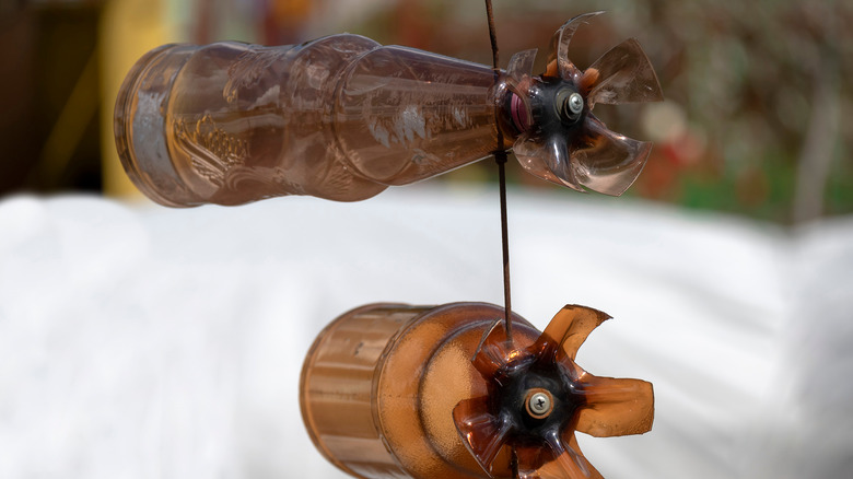 Homemade garden mole repeller