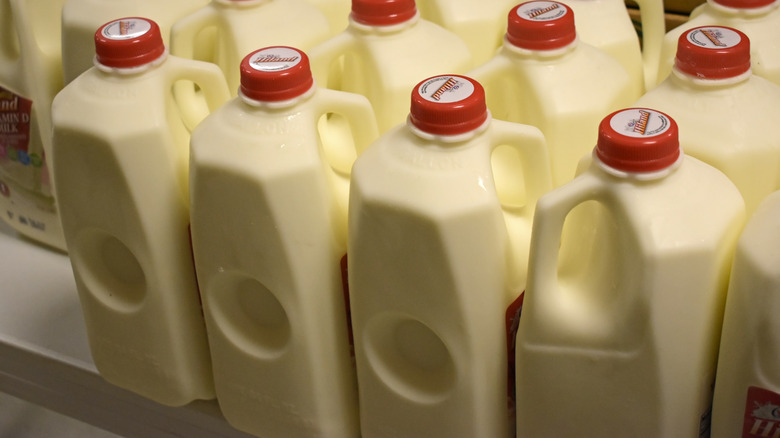 Half-gallon milk jugs