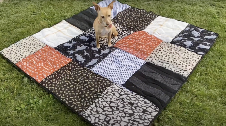 A dog sits on a quilt made of scarves outside.