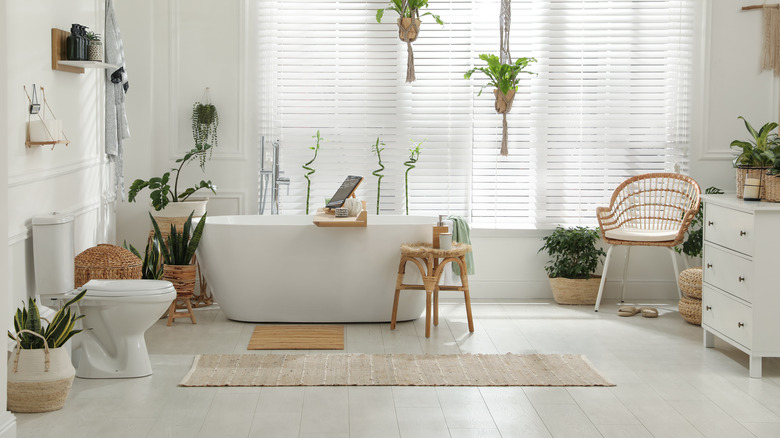 white bathroom with many plants