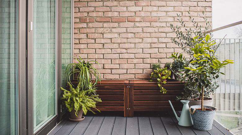 a brick wall and plants