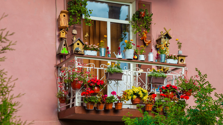 balcony with many flowers