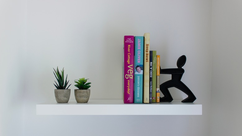 white book shelf and succulents