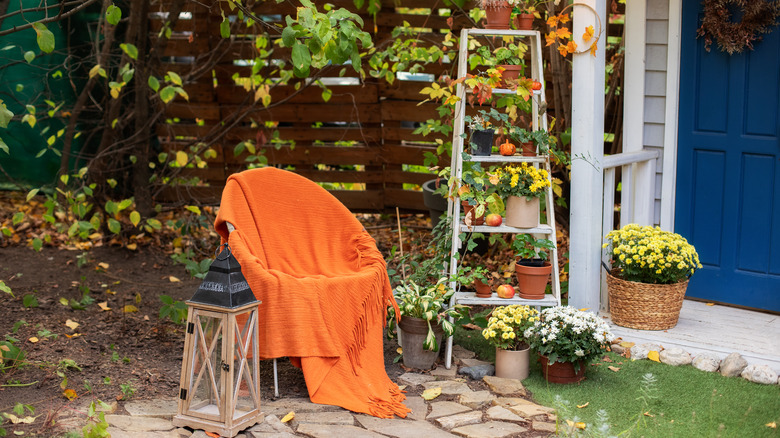 Ladder shelf with orange chair