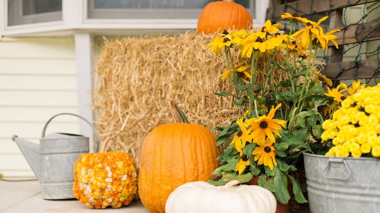 Hay bale with pumpkins