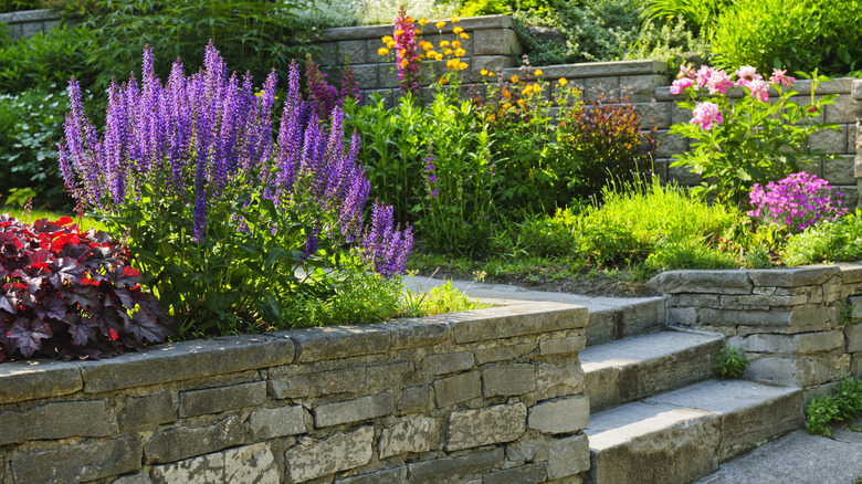Stone steps with flowers
