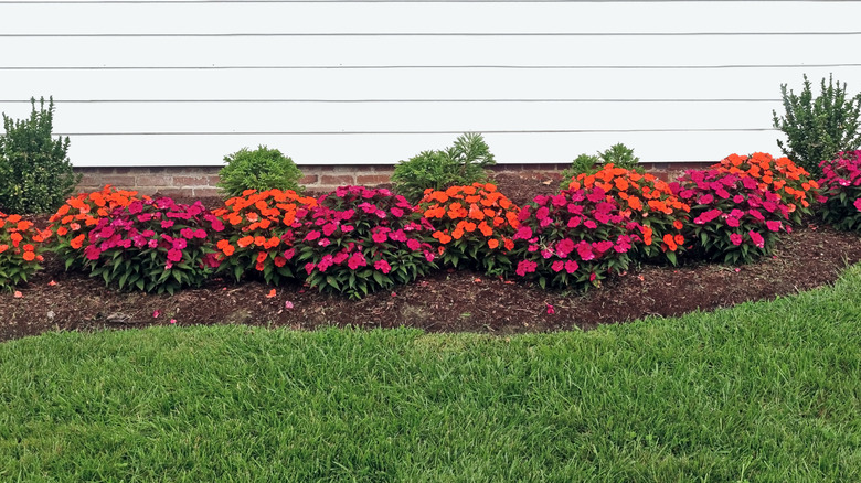 Flower bed against home