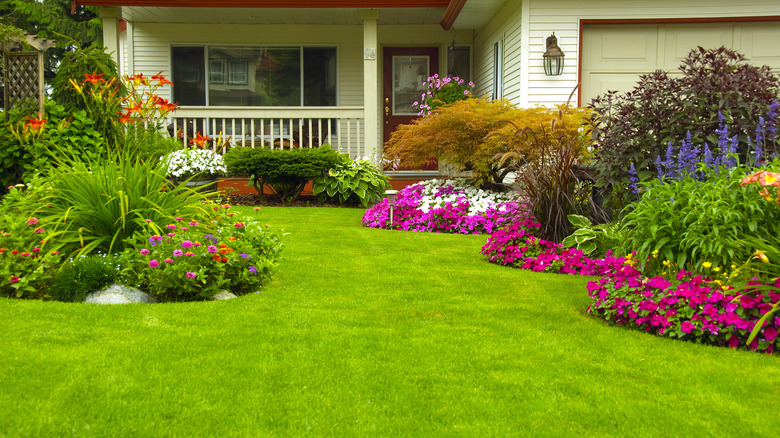 Flower bed in front yard