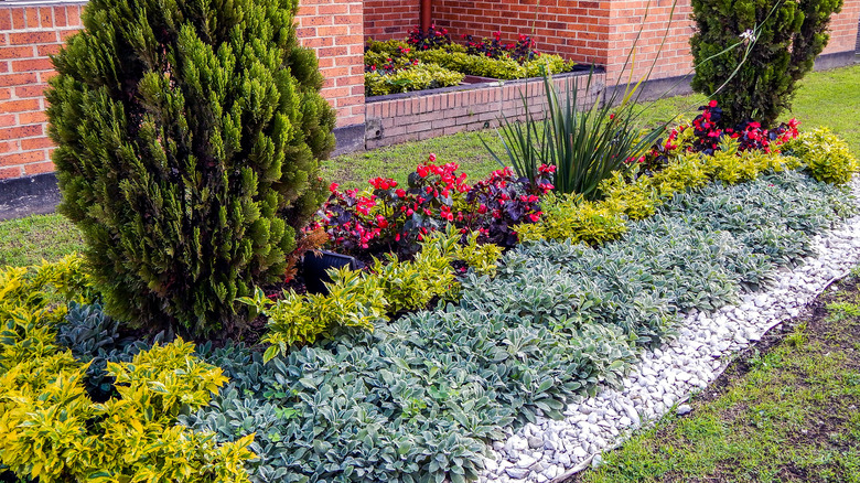 garden with stone and soil